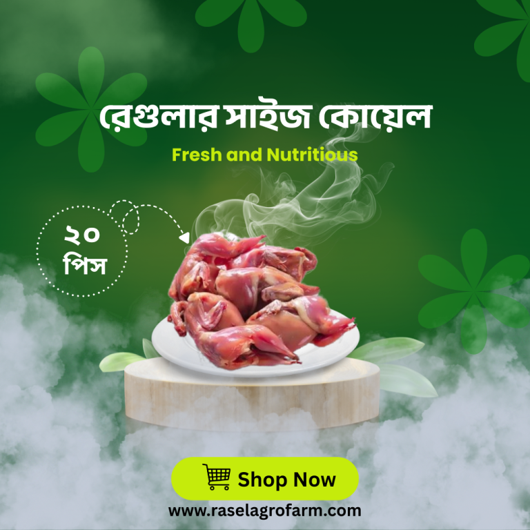 regular size koyel - rasel agro farm - 20 pics